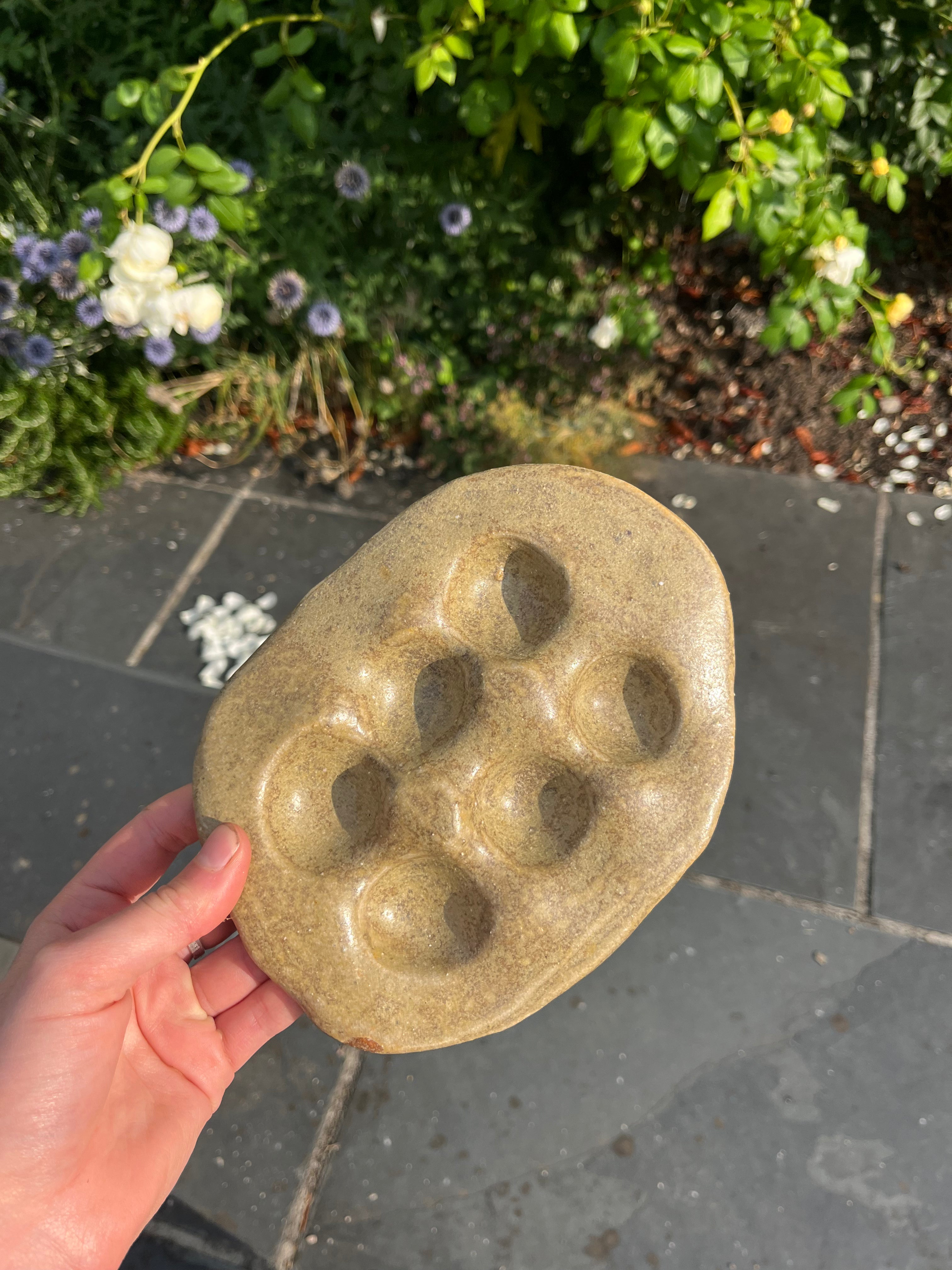The Egg Tray